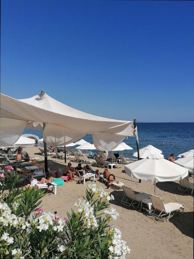 Greca Mare-Traditional Greek Boutique Apt. Psakoudia Luaran gambar