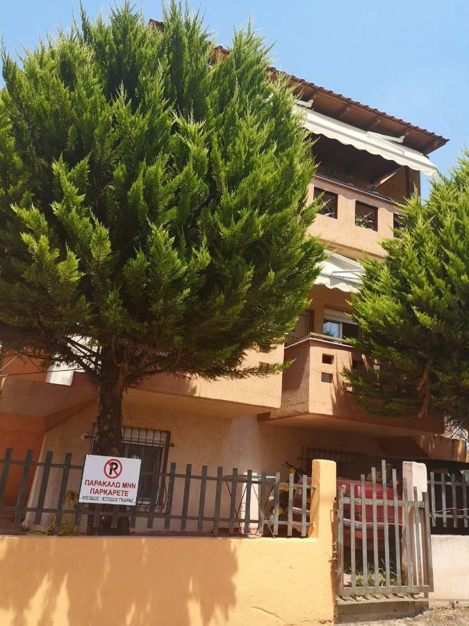 Greca Mare-Traditional Greek Boutique Apt. Psakoudia Luaran gambar